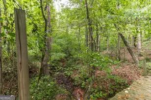 222 Tommys Trail, Forsyth, GA 31029 - Photo 35