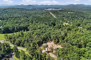 1347 John Smith Rd E, Blairsville, GA 30512 - Photo 45