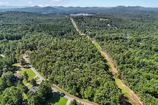1347 John Smith Rd E, Blairsville, GA 30512 - Photo 47
