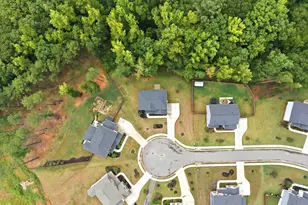 462 Sylvie Dr, McDonough, GA 30252 - Photo 9