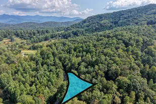 8296 True Love Mountain Rd, Young Harris, GA 30582 - Photo 57