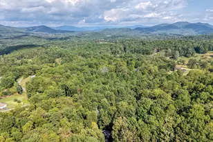 8296 True Love Mountain Rd, Young Harris, GA 30582 - Photo 55