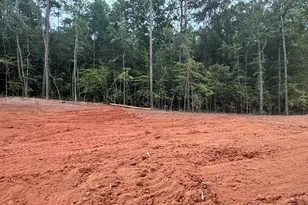 169 Avalee Rd, Brooks, GA 30205 - Photo 13