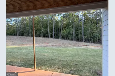 169 Avalee Road, Brooks, GA 30205 - Photo 27