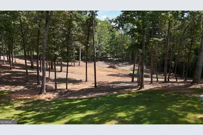 910 Wheeler Road, Demorest, GA 30535 - Photo 69