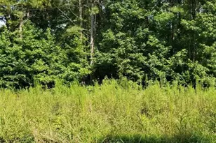 000 Dean Rd, Aragon, GA 30104 - Photo 3