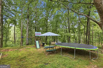 491 Jim Carter Road, Clarkesville, GA 30523 - Photo 61