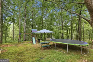 491 Jim Carter Rd, Clarkesville, GA 30523 - Photo 61