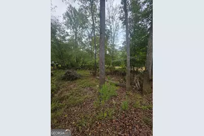 0 Morris Landing Road, Baxley, GA 31513 - Photo 5