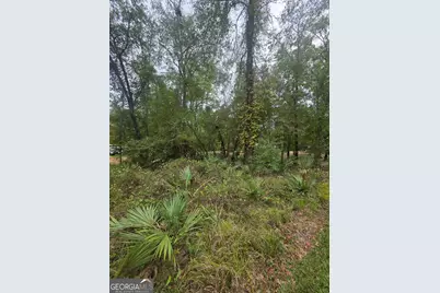 0 Morris Landing Road, Baxley, GA 31513 - Photo 1