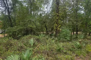 0 Morris Landing Rd, Baxley, GA 31513 - Photo 1