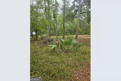 0 Morris Landing Road, Baxley, GA 31513 - Photo 3