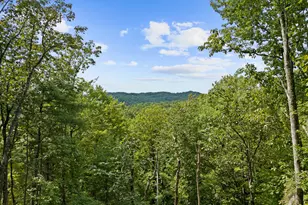 21 Mountain View Trail, Cherrylog, GA 30522 - Photo 3