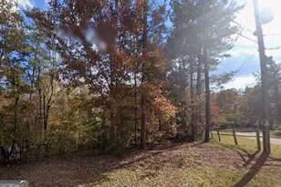 225 White Birch Dr, Covington, GA 30016 - Photo 1