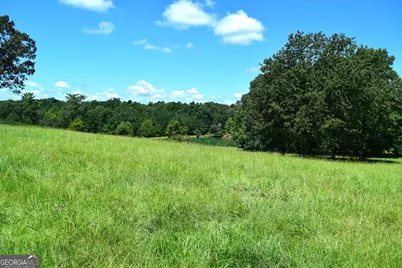 373 Gray Road, Eatonton, GA 31024 - Photo 47