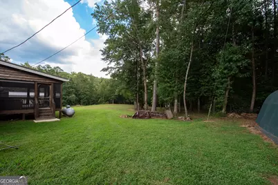 971 Bo Bo Banks Road, Grantville, GA 30220 - Photo 9