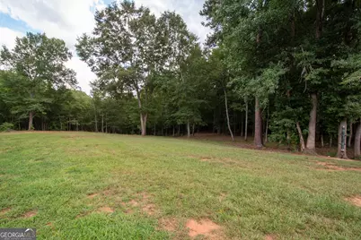 971 Bo Bo Banks Road, Grantville, GA 30220 - Photo 13