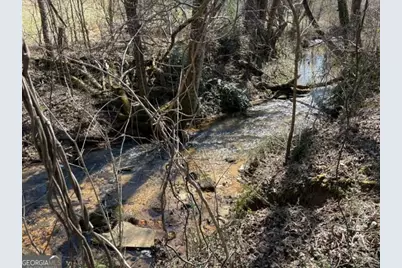 343 Hank Fry Rd, Clarkesville, GA 30523 - Photo 27