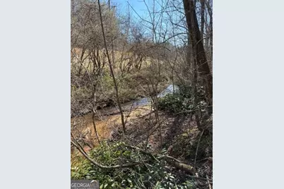 343 Hank Fry Rd, Clarkesville, GA 30523 - Photo 23