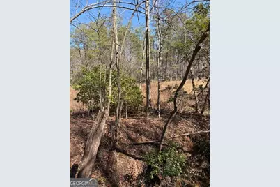 343 Hank Fry Rd, Clarkesville, GA 30523 - Photo 7