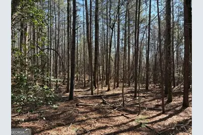 343 Hank Fry Rd, Clarkesville, GA 30523 - Photo 1