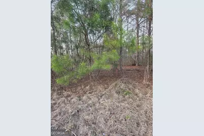 0 Perkins Greenfork Road, Millen, GA 30442 - Photo 5