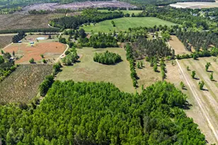 0 Perkins Greenfork Rd, Millen, GA 30442 - Photo 1