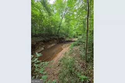 0 Brownlee Road, Forsyth, GA 31029 - Photo 13