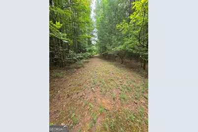 0 Brownlee Road, Forsyth, GA 31029 - Photo 5