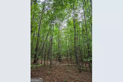 0 Brownlee Road, Forsyth, GA 31029 - Photo 19