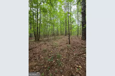 0 Brownlee Road, Forsyth, GA 31029 - Photo 7