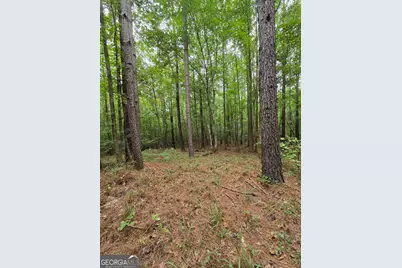 0 Brownlee Road, Forsyth, GA 31029 - Photo 9