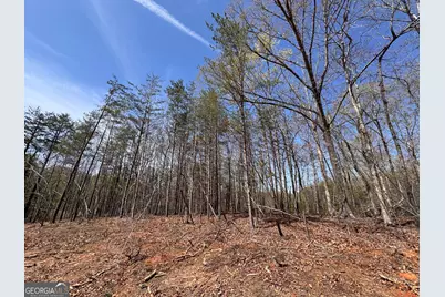 0 Highway 129 N, Cleveland, GA 30528 - Photo 3
