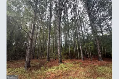 0 Jamestown Road, Waycross, GA 31053 - Photo 15