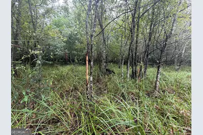 0 Jamestown Road, Waycross, GA 31053 - Photo 25