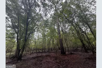 0 Jamestown Road, Waycross, GA 31053 - Photo 81