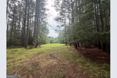 0 Jamestown Road, Waycross, GA 31053 - Photo 51