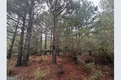 0 Jamestown Road, Waycross, GA 31053 - Photo 47
