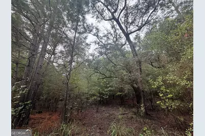 0 Jamestown Road, Waycross, GA 31053 - Photo 65