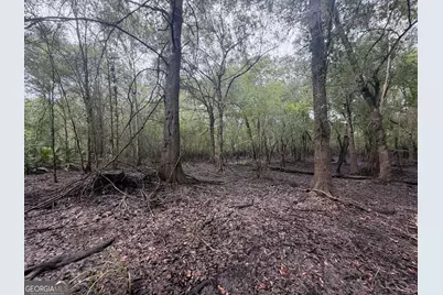 0 Jamestown Road, Waycross, GA 31053 - Photo 37