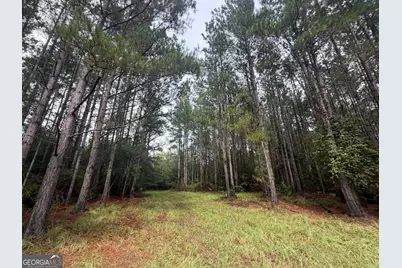 0 Jamestown Road, Waycross, GA 31053 - Photo 55
