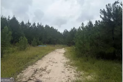 0 Jamestown Road, Waycross, GA 31053 - Photo 87