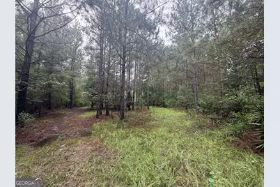 0 Jamestown Road, Waycross, GA 31053 - Photo 19