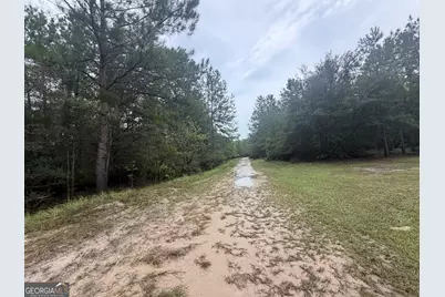 0 Jamestown Road, Waycross, GA 31053 - Photo 29