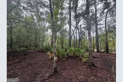 0 Jamestown Road, Waycross, GA 31053 - Photo 23