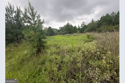 0 Jamestown Road, Waycross, GA 31053 - Photo 91
