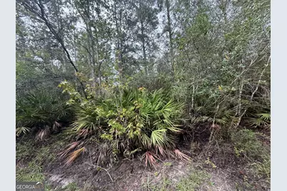 0 Jamestown Road, Waycross, GA 31053 - Photo 57