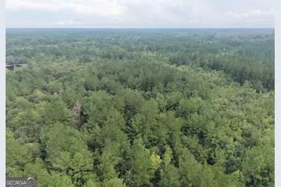 0 Jamestown Road, Waycross, GA 31053 - Photo 11