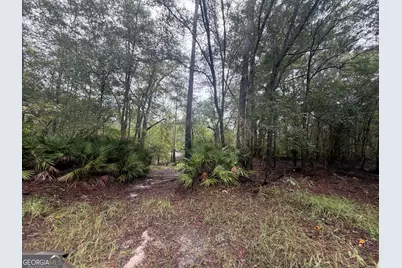 0 Jamestown Road, Waycross, GA 31053 - Photo 31