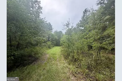 0 Jamestown Road, Waycross, GA 31053 - Photo 21